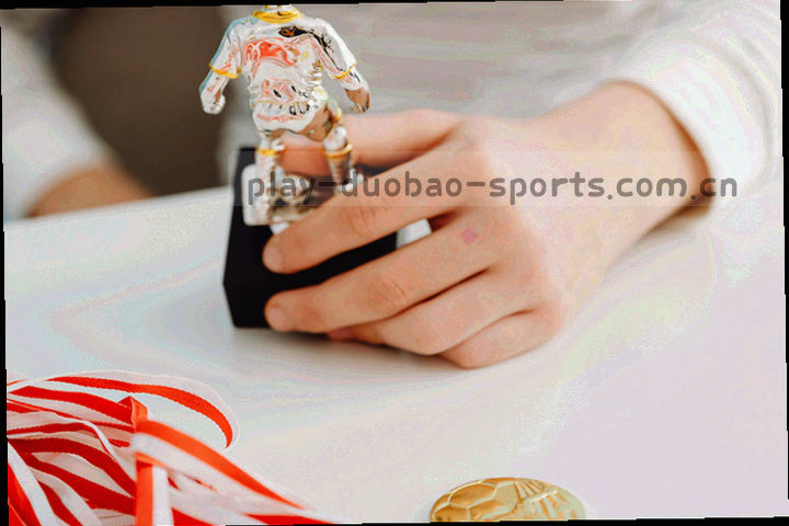 多联赛球类图标组成的同心圆示意图，未使用球队徽标