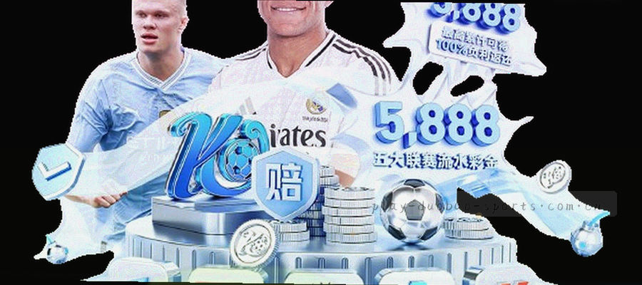 从反馈提交到批次归档的分流流程示意